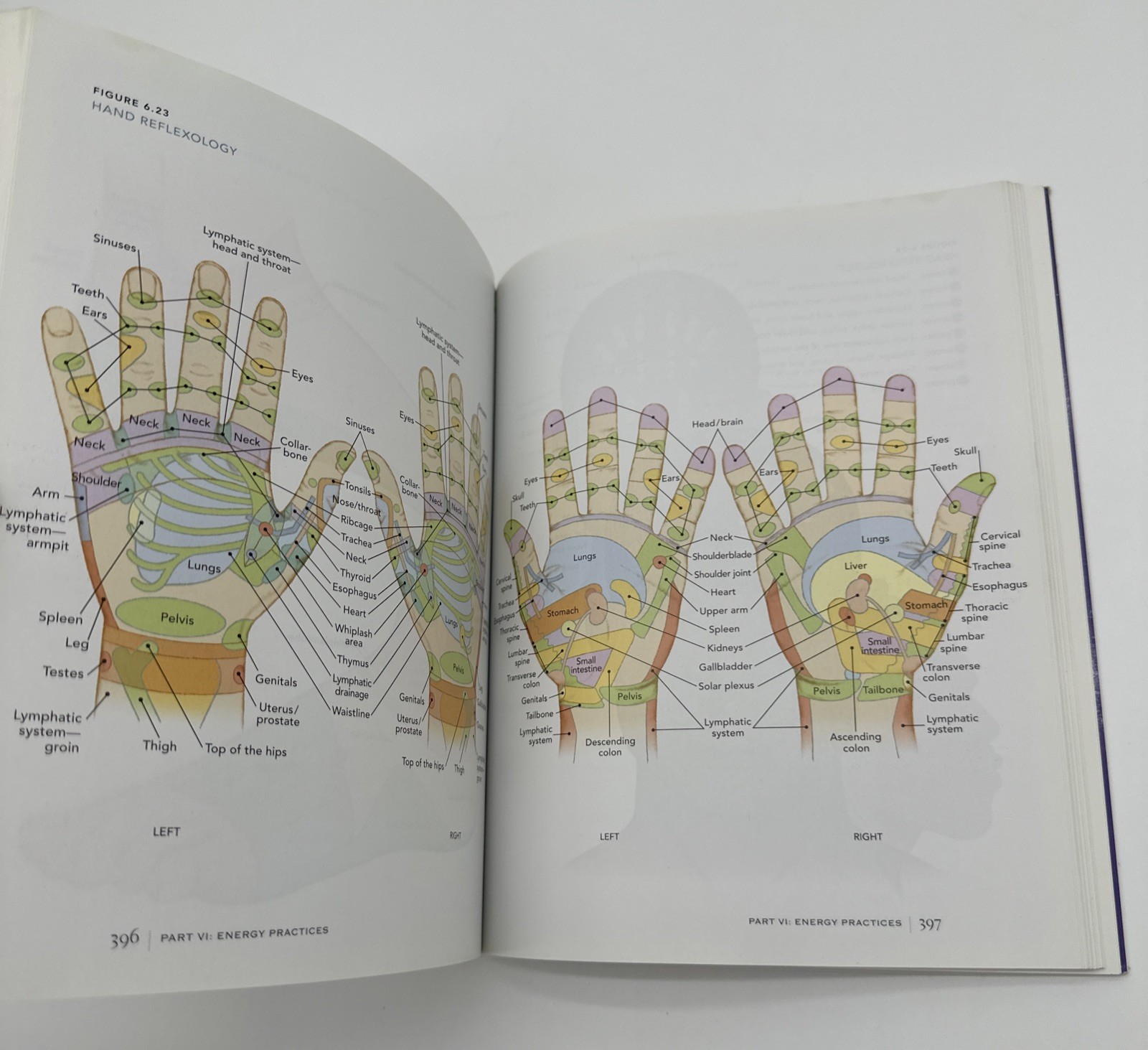 The Subtle Body Encyclopedia of Your Energetic Anatomy Cyndi Dale Paperback 2009