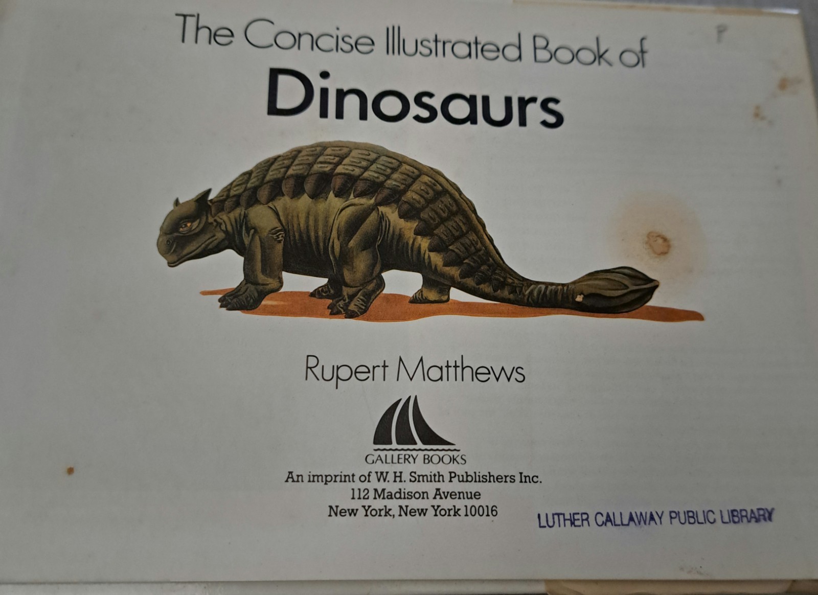 Lot of 7 Dinosaur Prehistoric Era Educational Kids Children Books Dinosaurs 🦕
