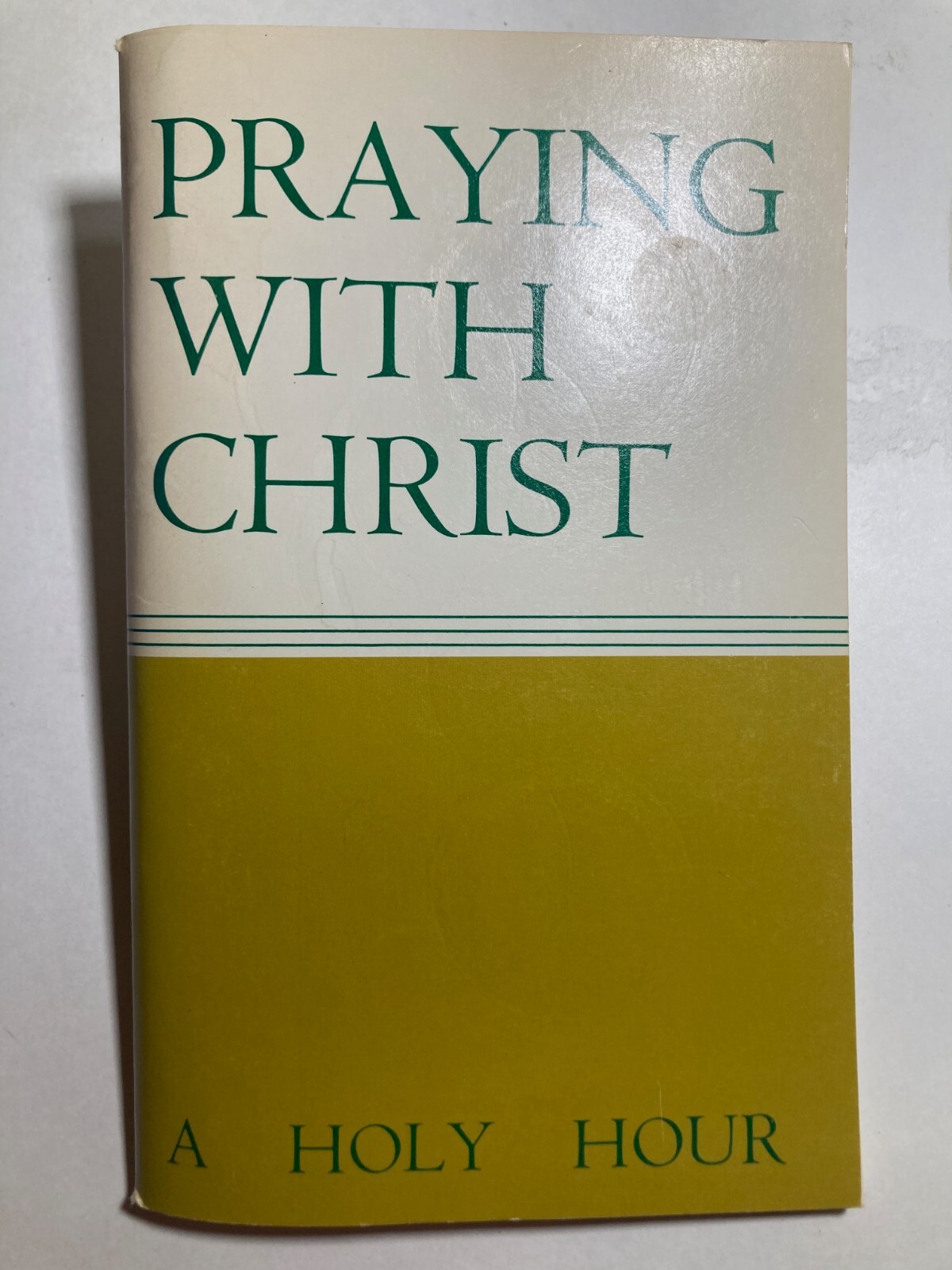 PRAYING WITH CHRIST A HOLY HOUR LITURGICAL PRESS (SAME DAY SHIPPING)