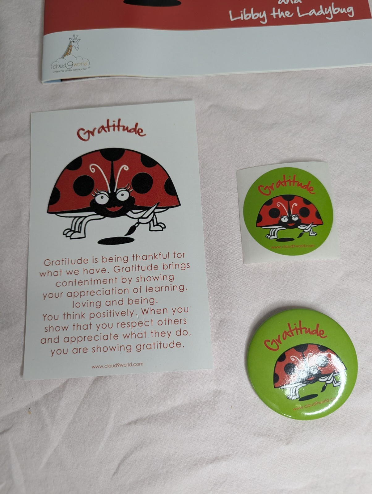Home School Teachers Cloud 9 world character book GRATITUDE 2nd-5th poster kit