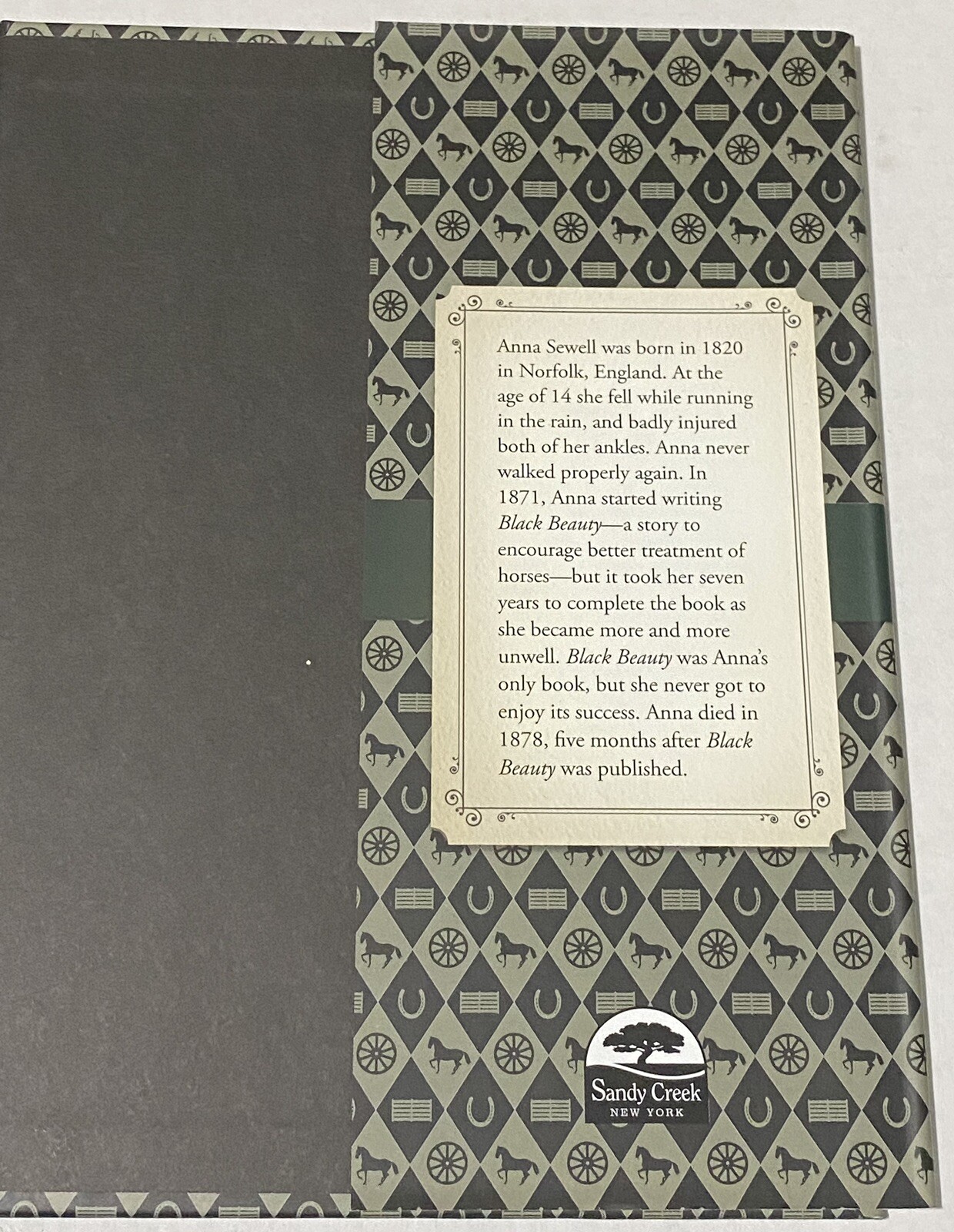 Black Beauty Illustrated Classic by Anna Sewell, Anne Rooney