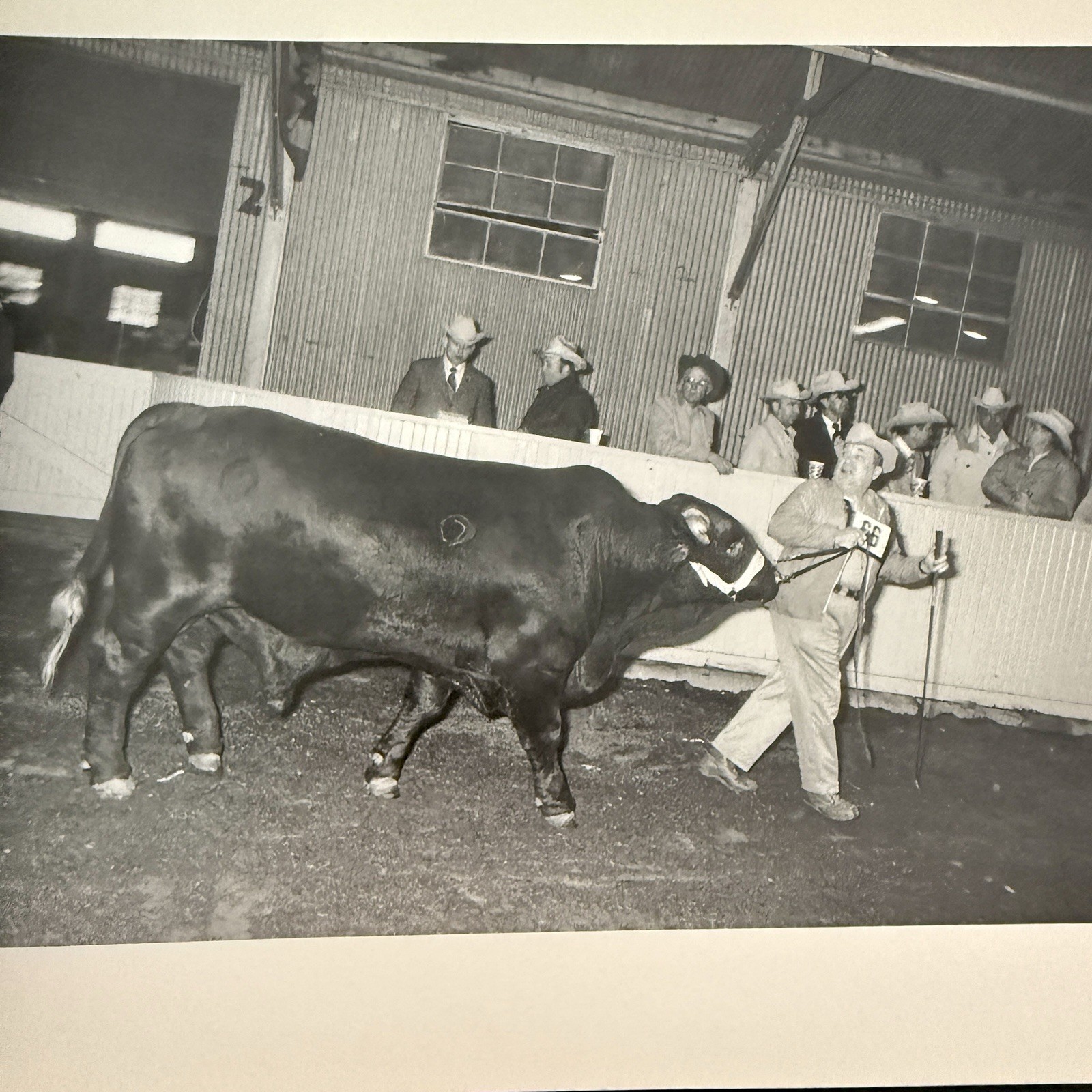 Garry Winogrand Stock Photographs Fort Worth Fat Stock Show Rodeo First Edition