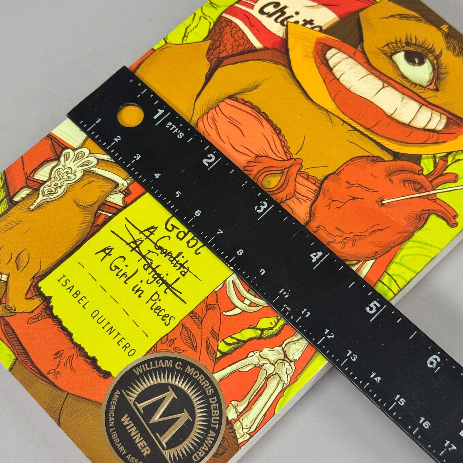 GABI A Girl In Pieces by Isabel Quintero 8″ x 5″ Green 51695