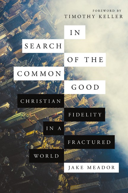 In Search Of The Common Good: Christian Fidelity In A Fractured World