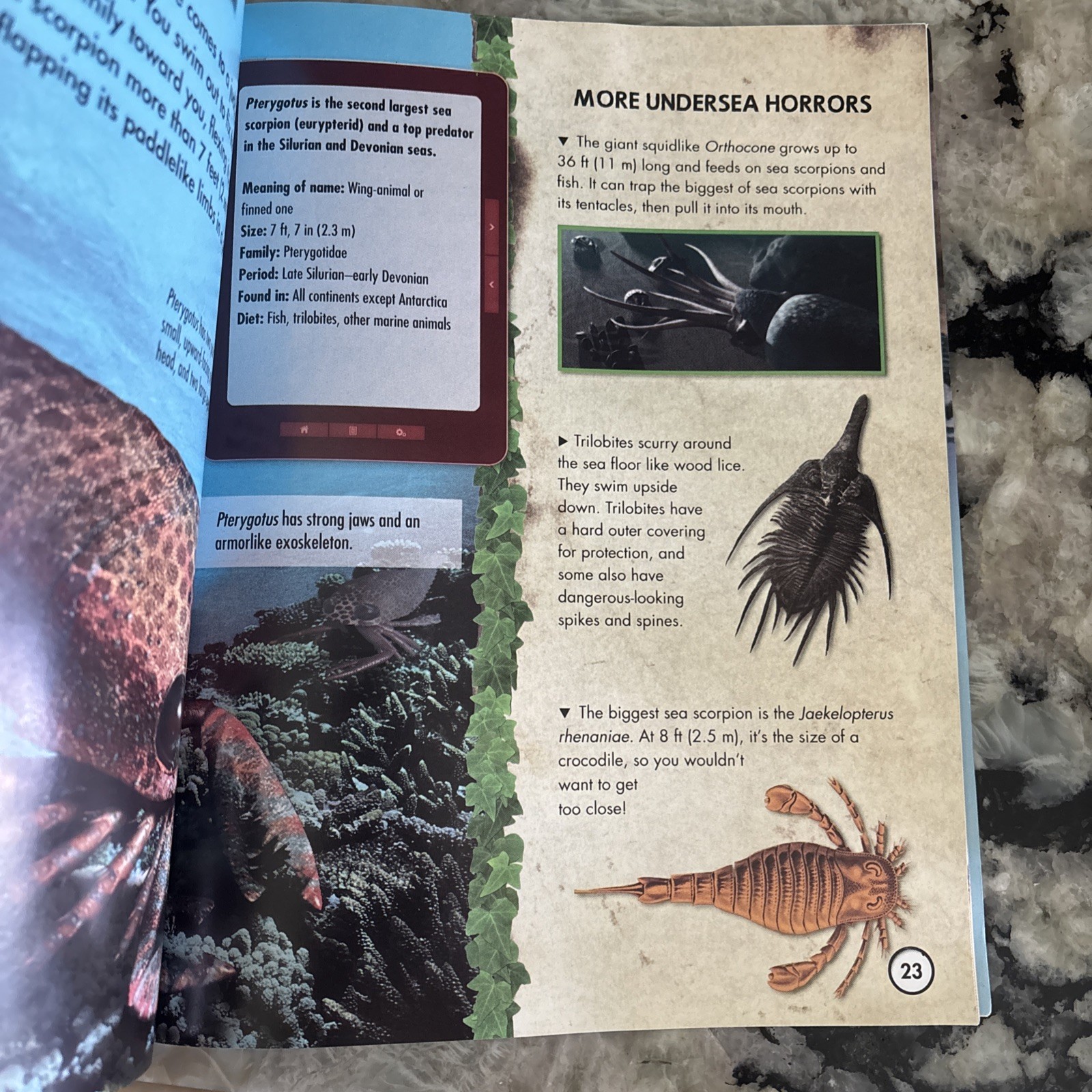 Prehistoric Safari Flying Monster / Sea Monsters paperback by Liz Miles