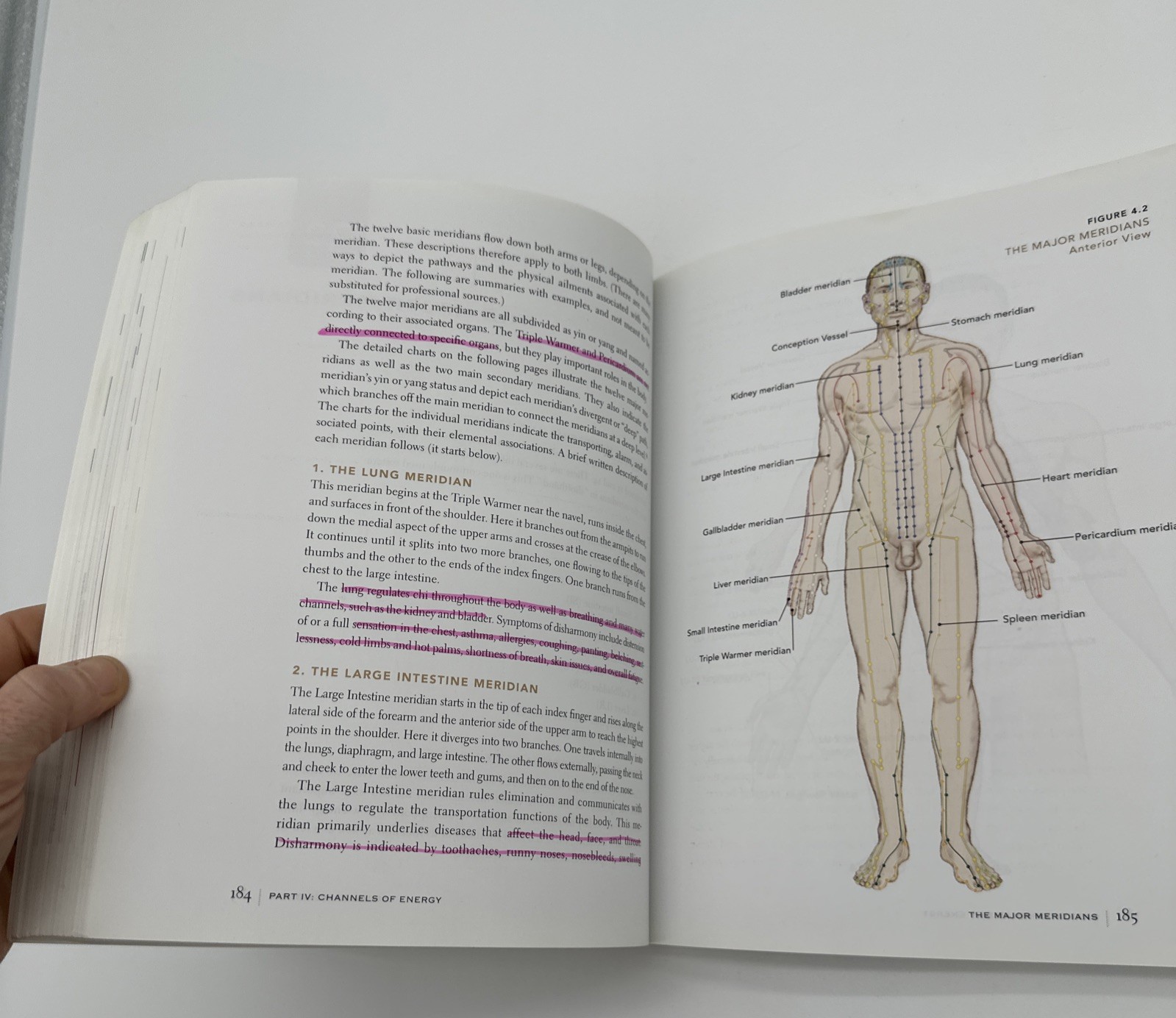 The Subtle Body Encyclopedia of Your Energetic Anatomy Cyndi Dale Paperback 2009