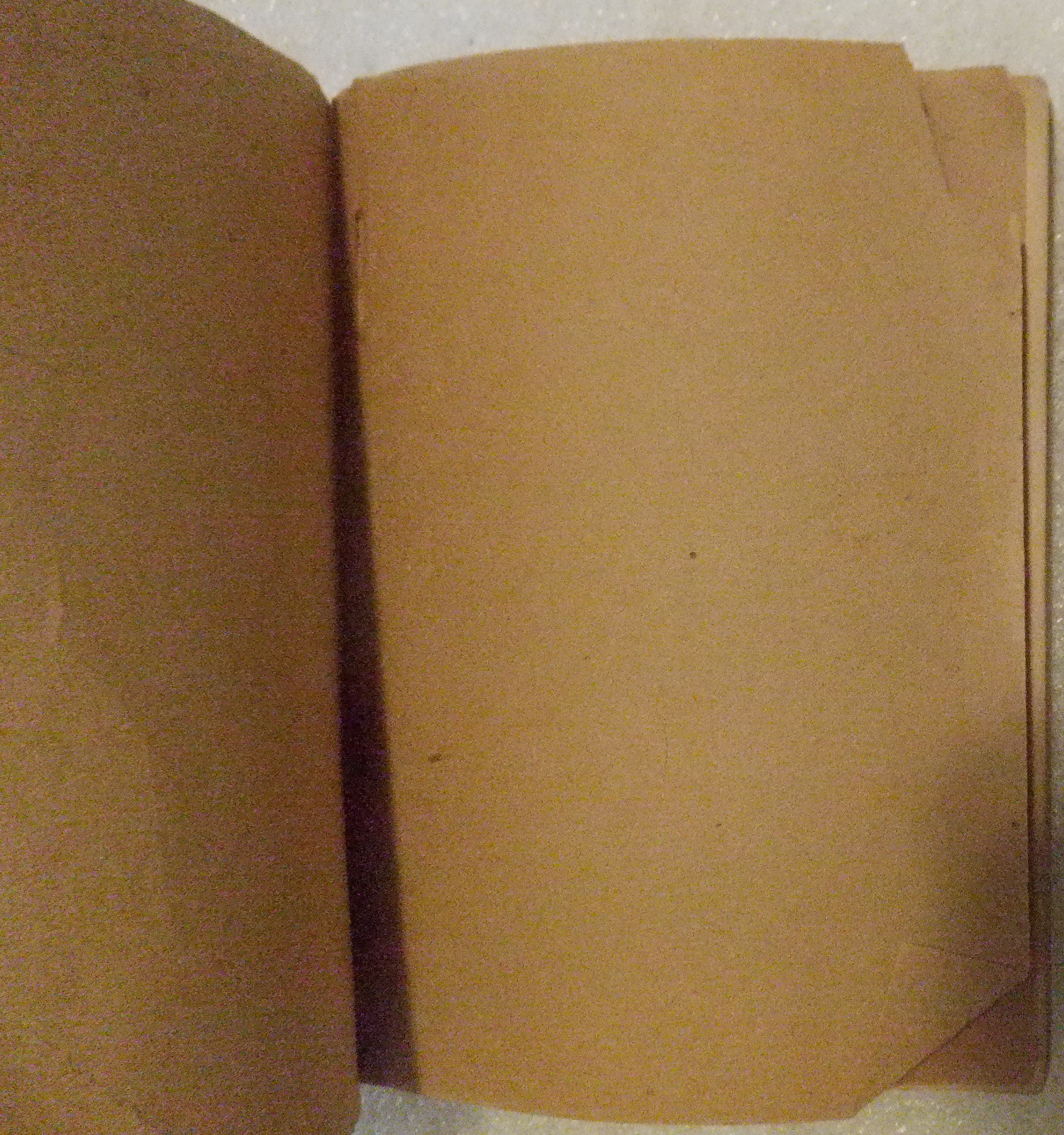 Mr. Durant of Salt Lake City: “That Mormon”./ FAIR 1905 Softcover. 221 pages.