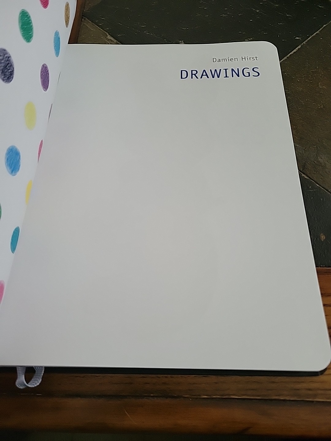 Damien Hirst: Drawings by Ralph Gleis Book Art