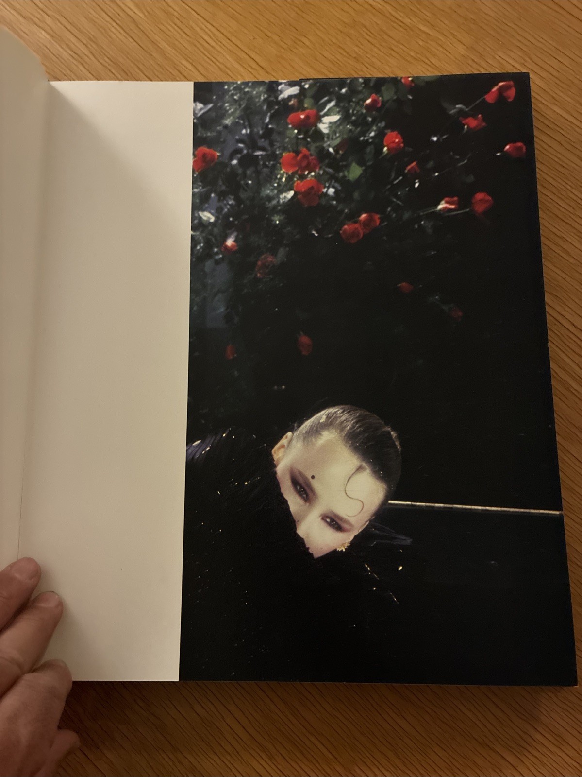 Rebecca Blake: Forbidden Dreams by Lina Wertmuller (1984, Hardcover)