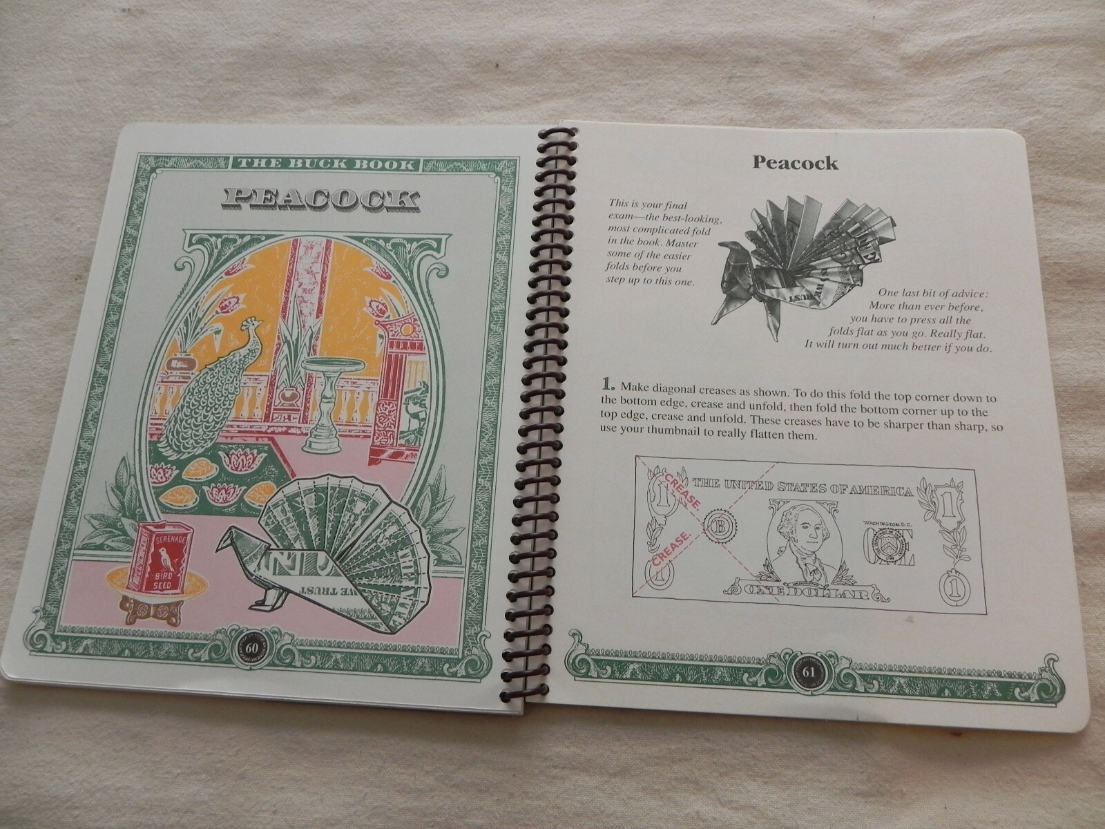 The Buck Book, Things To Do With A Dollar Bill, Anne Akers Johnson