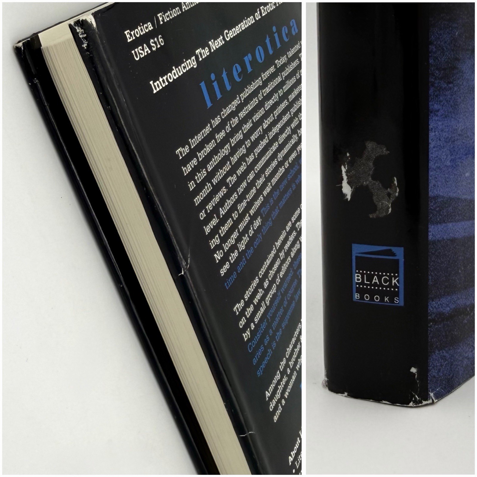 Literotica: The Very Best of literotica.com – edited by Lori Selke (BB, 2002)
