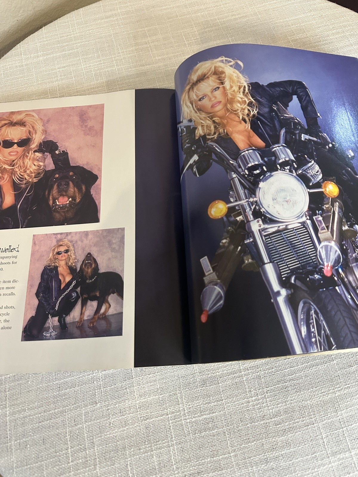 Pamela Anderson in Pictures -Paperback 1996 Photographs Stephen Wayda 159 pages