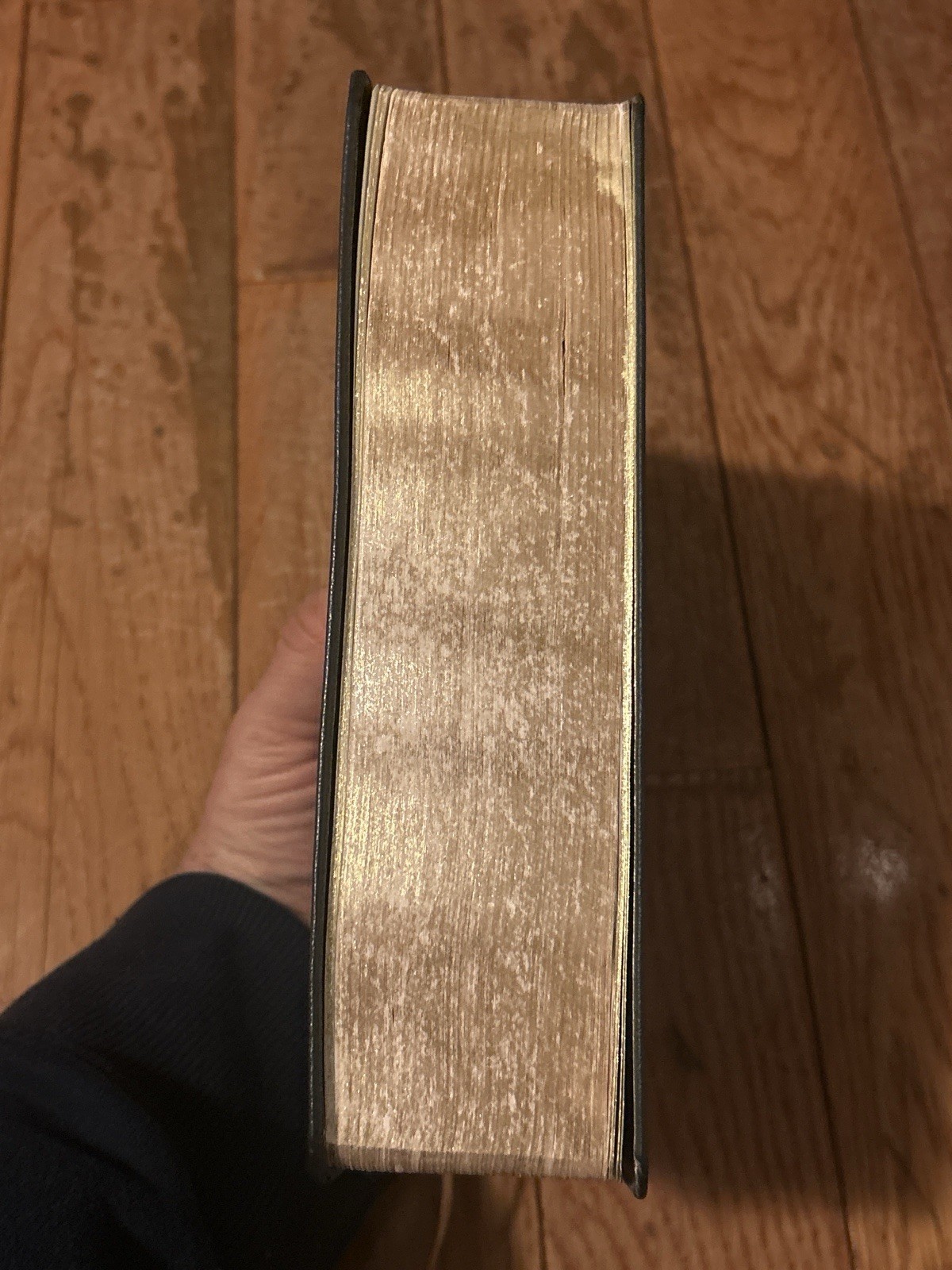 University of Notre Dame NRSV Catholic Bible Genuine Leather Oxford 1999