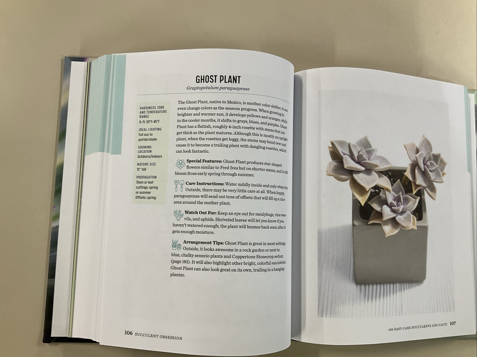 Succulent Obsession Complete Guide by Ken Shelf HC 2022 Rockridge Press