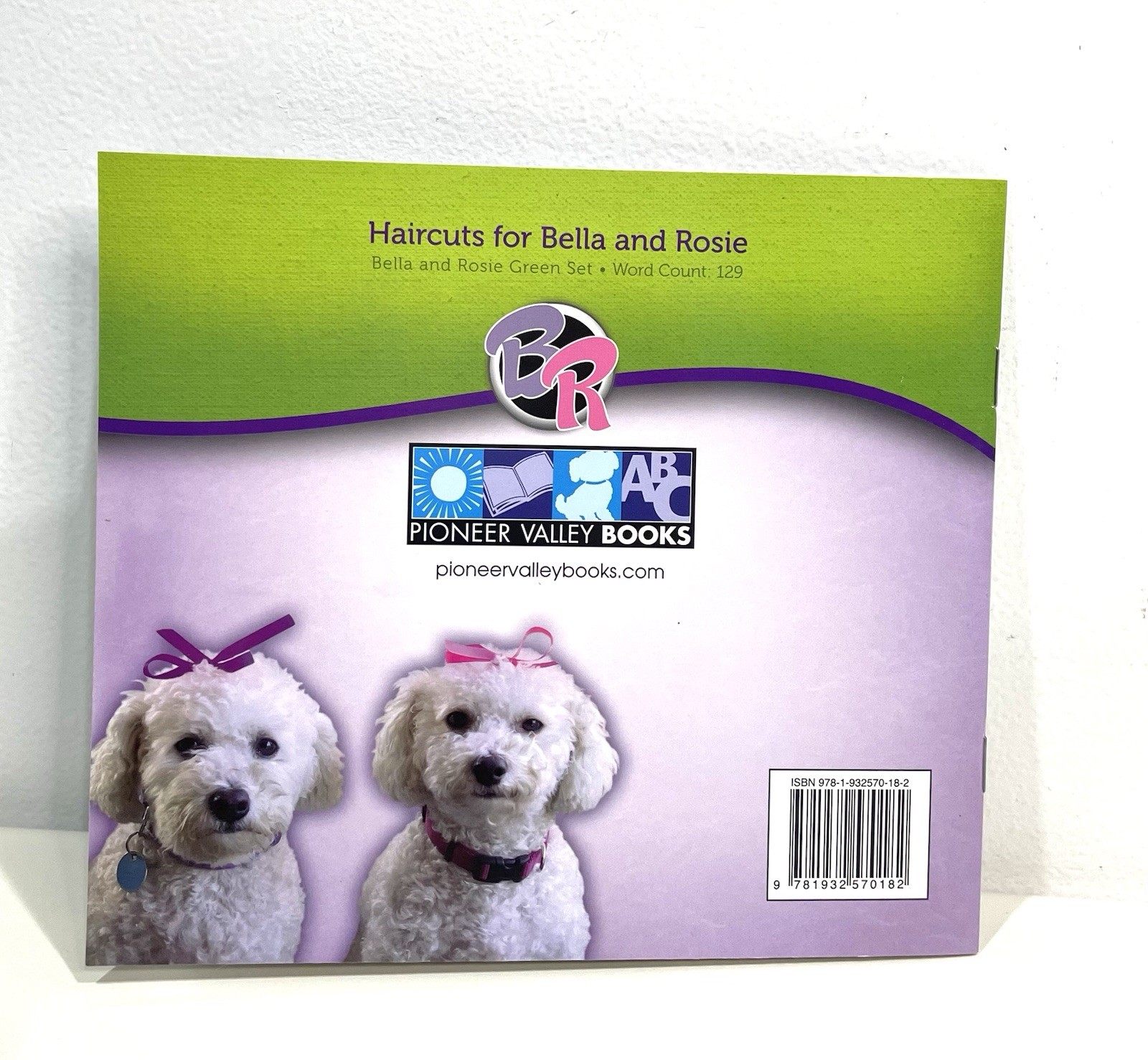 Bella & Rosie Early Readers Books Green 6 Pioneer Valley Dufresne Homeschool B