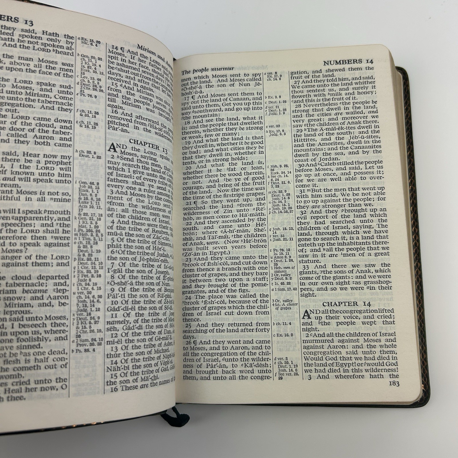 The Holy Bible King James Version Concordance Red Letter Leather Genuine Leather