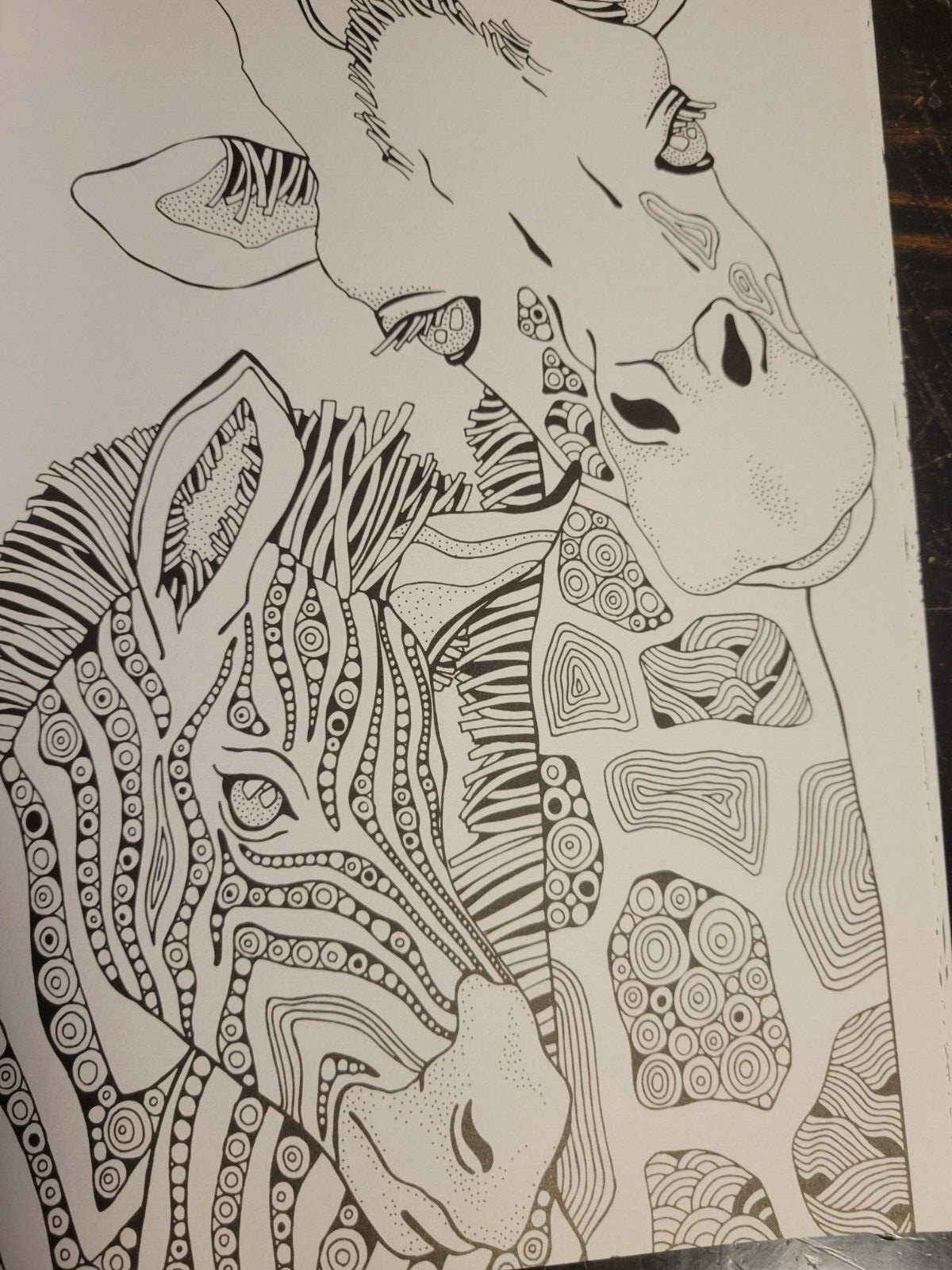 COLORING ANIMAL FRIENDS Vol 2 Adult Coloring Book With 47 Prints Ready To Frame