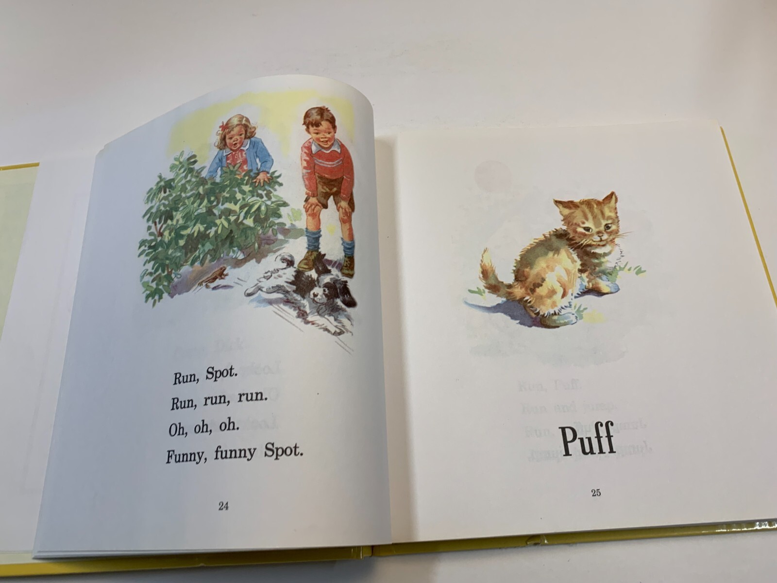 Dick and Jane Ser.: Storybook Treasury of Dick and Jane and Friends by Grosset a