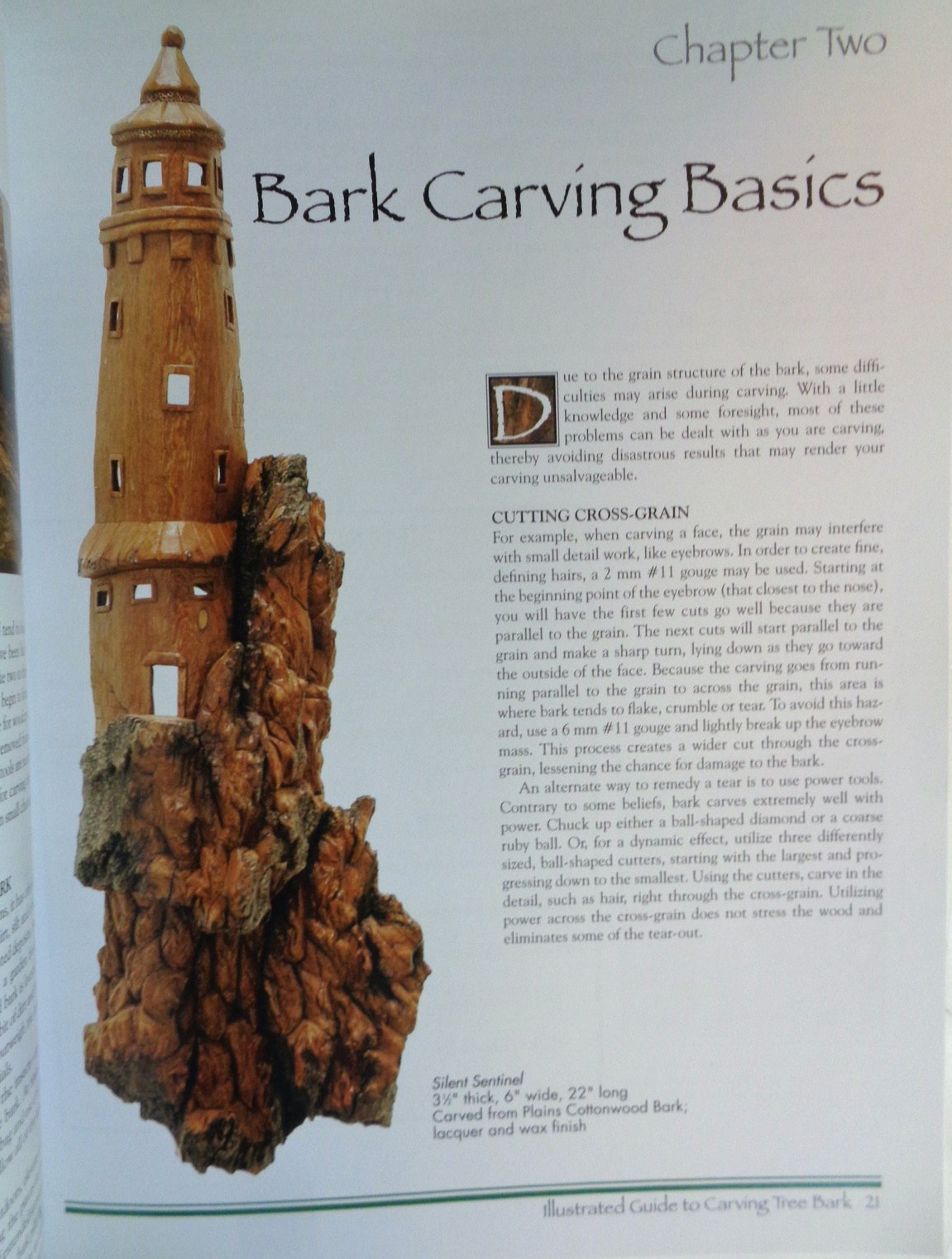Illustrated Guide to Carving Tree Bark: Releasing Whimsical Houses…, PB, VG