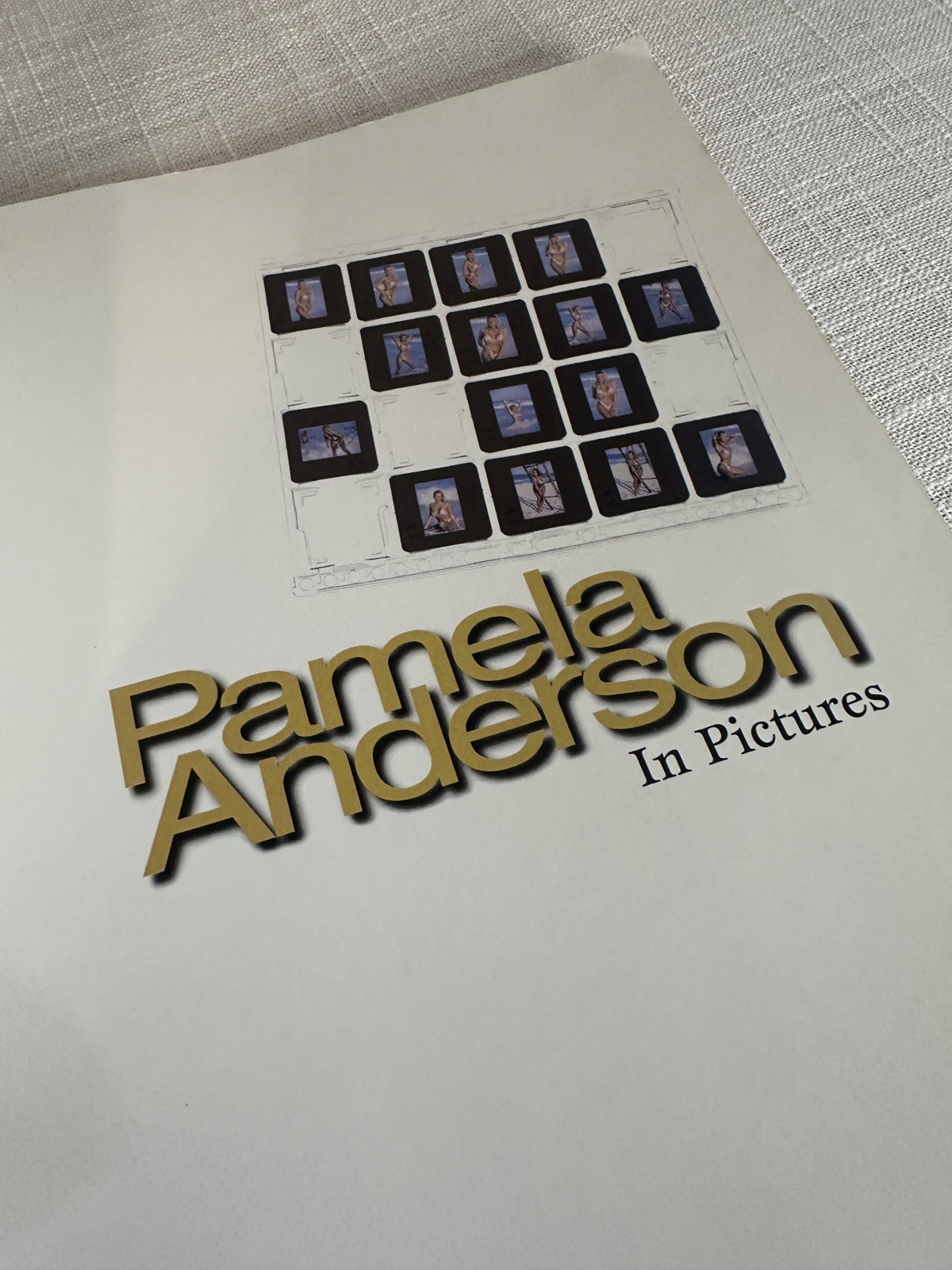 Pamela Anderson in Pictures -Paperback 1996 Photographs Stephen Wayda 159 pages