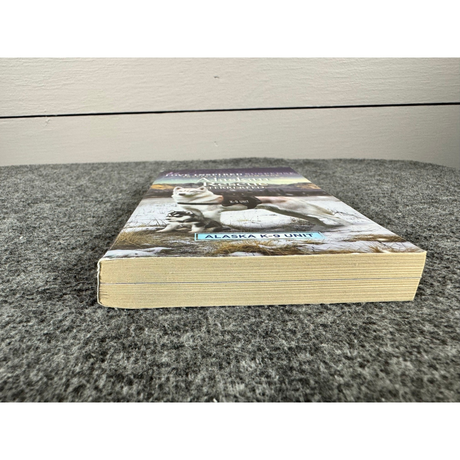 Alaskan Rescue by Terri Reed (Paperback)