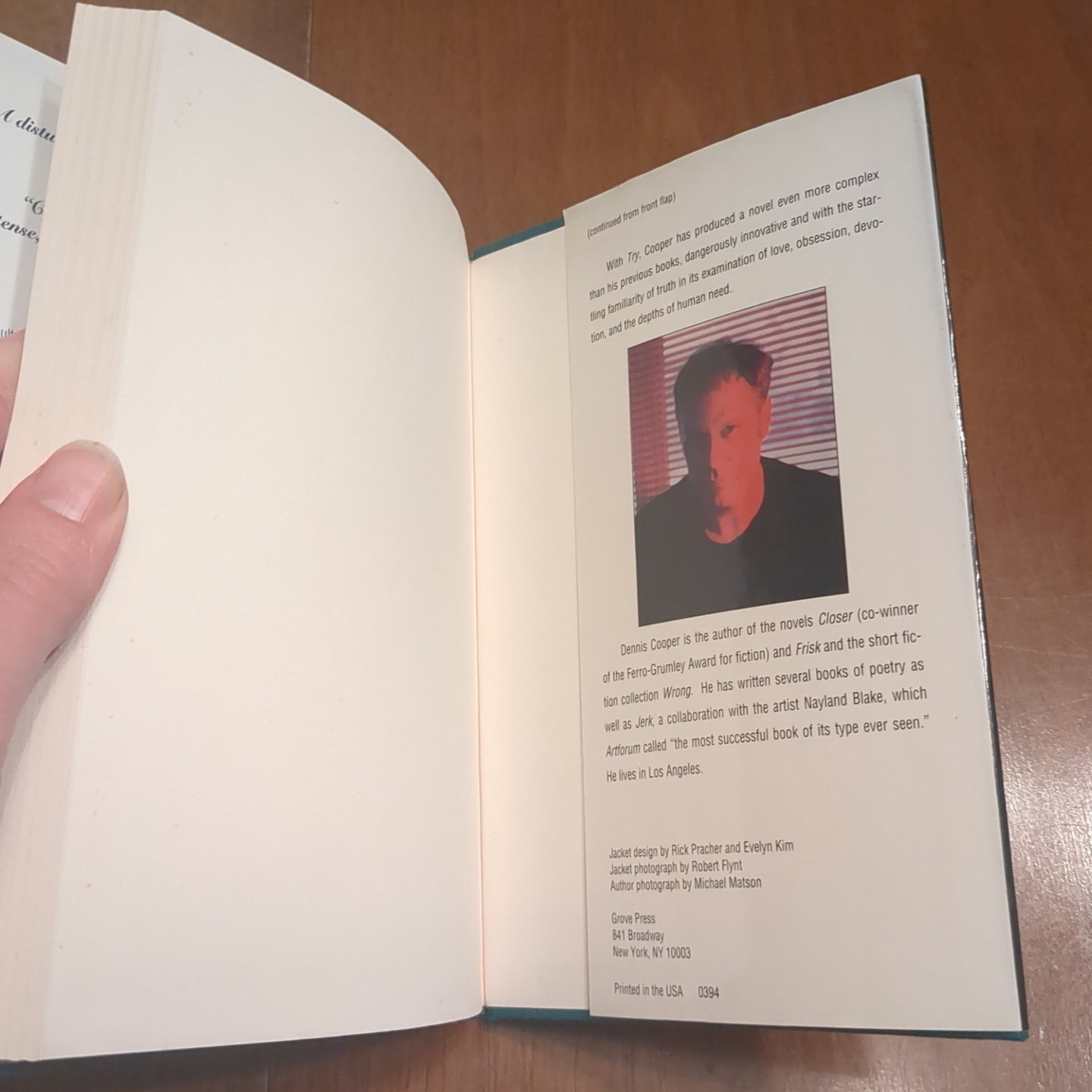 Try by Dennis Cooper (1994, Hardcover) – First Edition