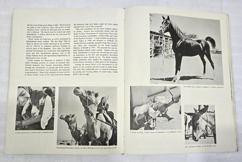 1960 Saudi Arabia KSA Aramco Handbook Arabian American OIL Company أرامكو