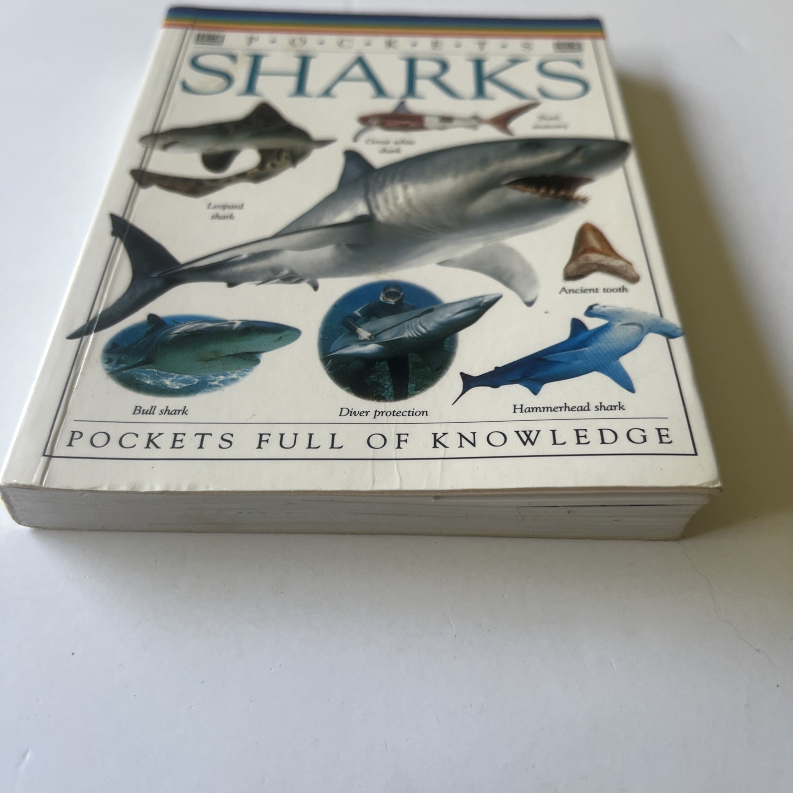 SHARKS DK Pockets Book📕Sharks by DK publishing Pockets Full Of Knowledge