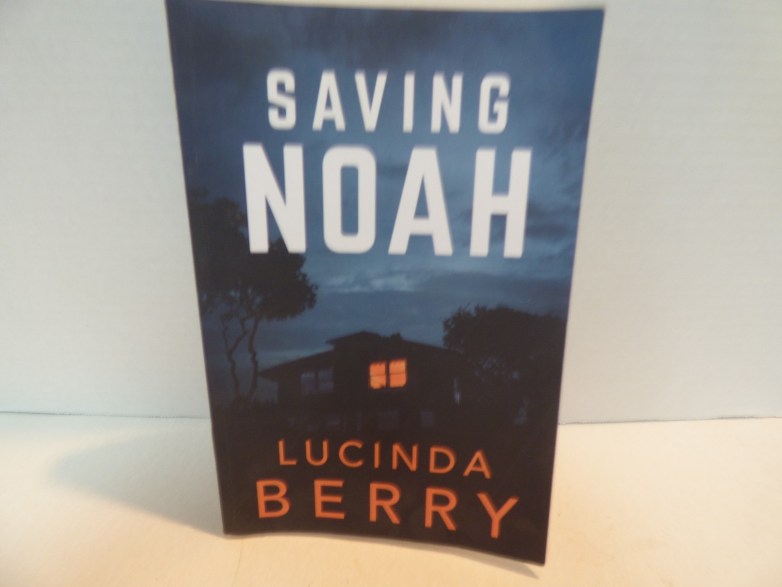 Saving Noah…. Lucinda Berry…. 2017 Book