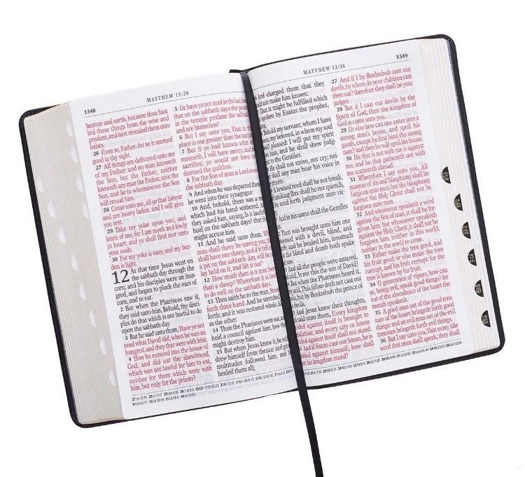 KJV HOLY BIBLE King James Version Black GIANT Print Thumb Index Edition NEW