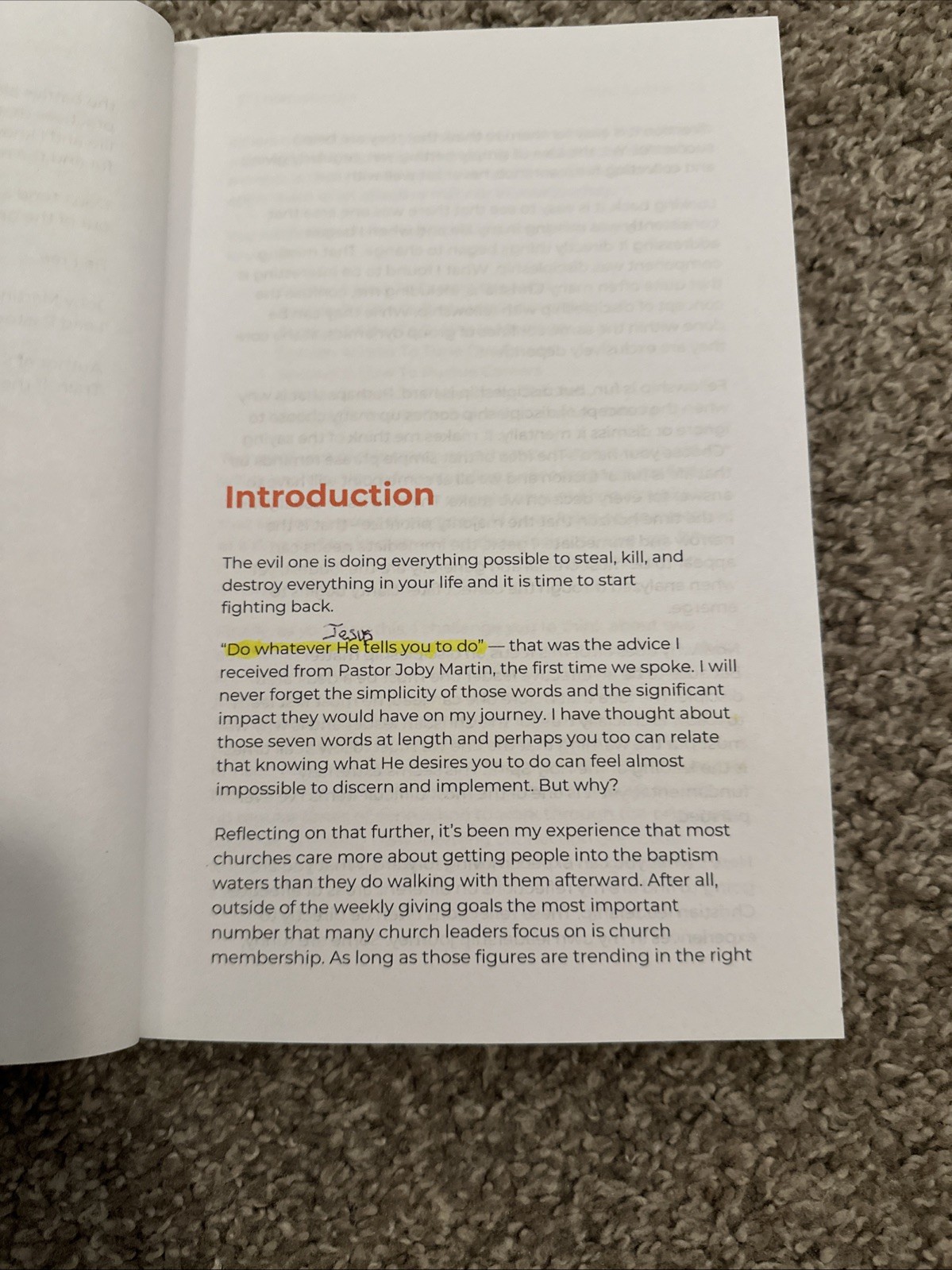 Unleashing the Lion Within by Chris Grainger 2022 Christian Men Leadership PB