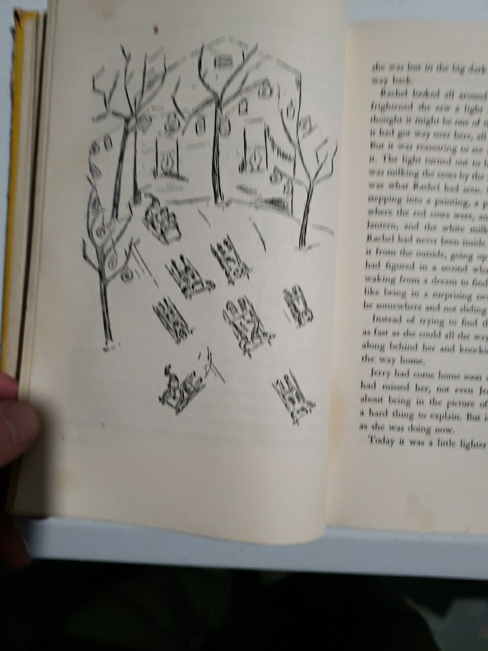 Eleanor Estes, Ginger Pye, Harcourt Brace And Co. New York. 1951, NES6