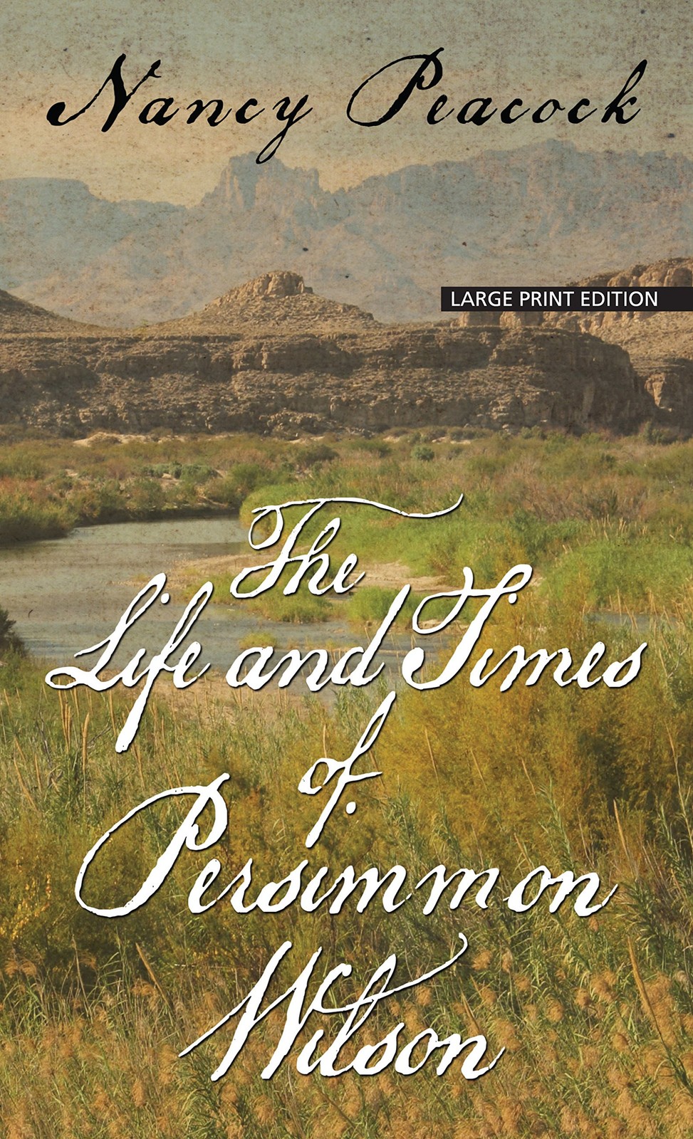 The Life and Times of Persimmon Wilson (Thorndike Press large print basic)