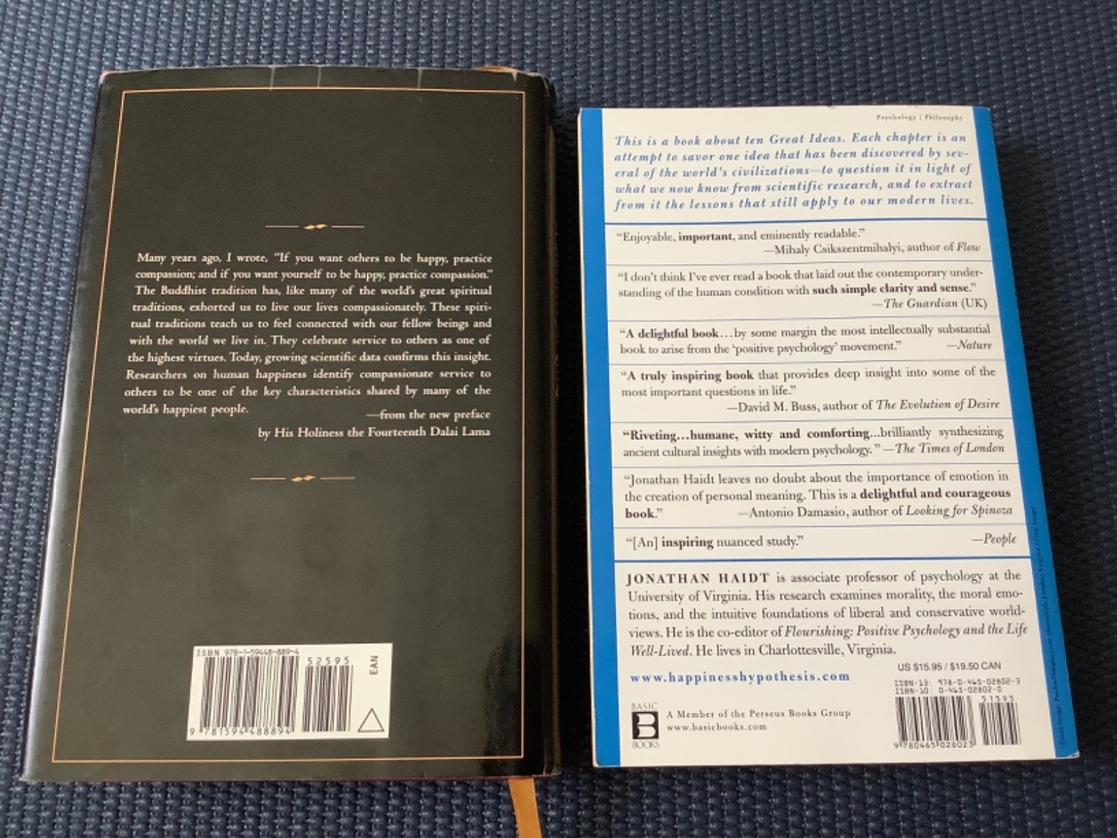 The Art of Happiness Dalai Lama Hypothesis Jonathan Haidt Happy Psychology Books