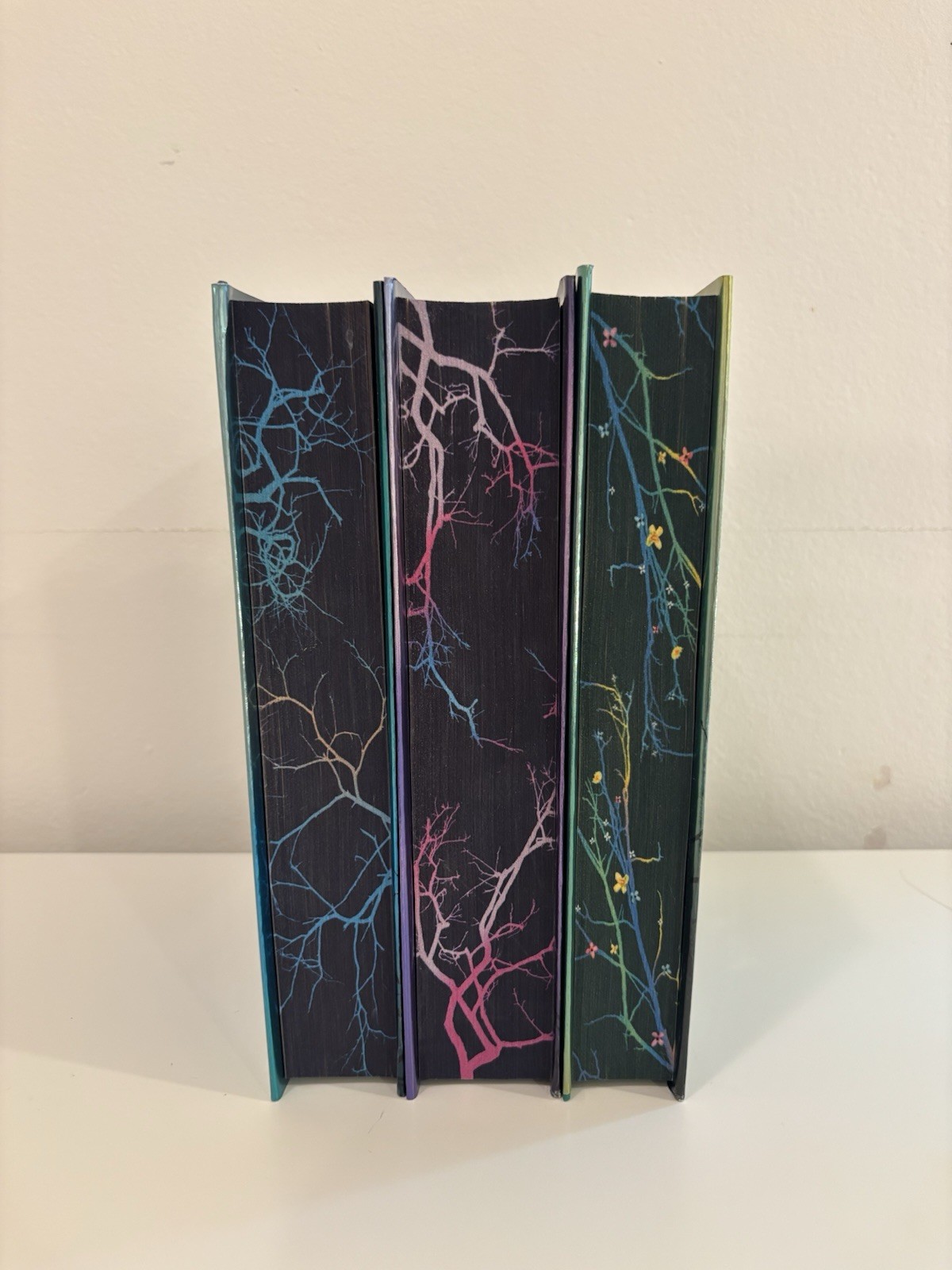 Shatter Me by Tahereh Madi Fairyloot Signed Special Edition