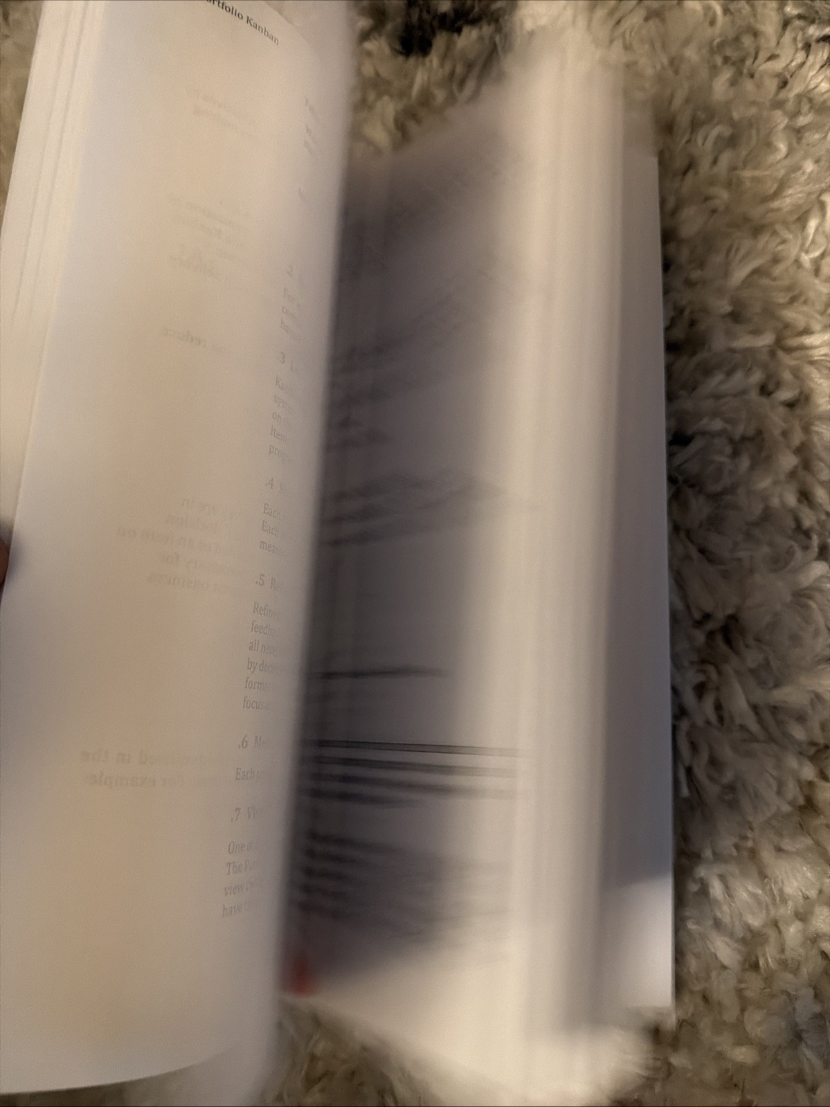 Agile Extension to the BABOK(R) Guide: Version 2 by Iiba