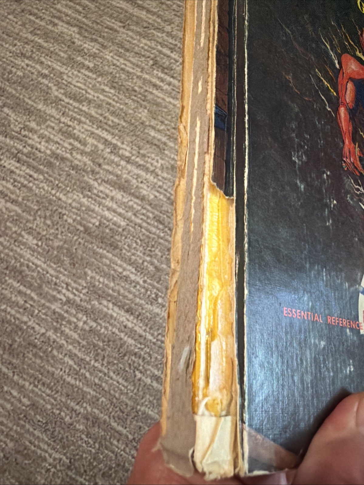 Dungeons Dragons AD&D Dungeon Master’s Guide TSR 1979 Revised Edition READ DESCR