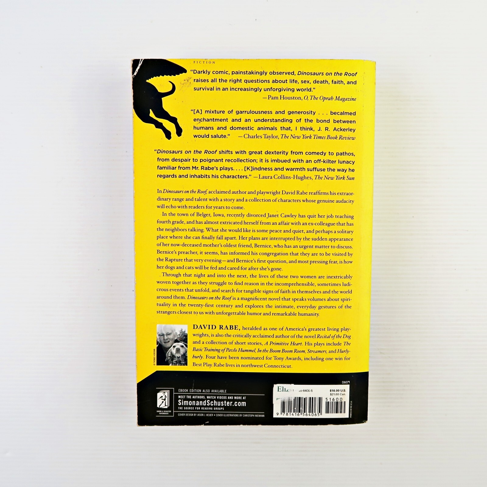 Dinosaurs on the Roof: a Novel (Paperback 2009)