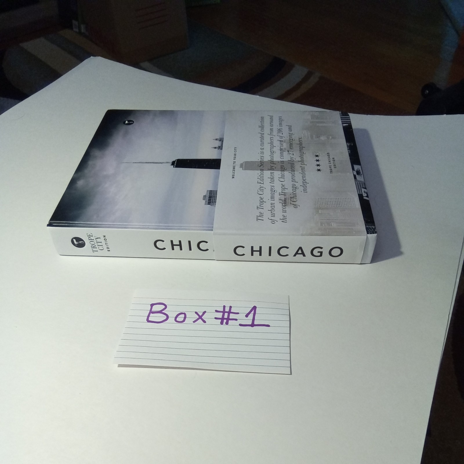 Trope Chicago by Sam Landers Hardcover (Trope City Edition)
