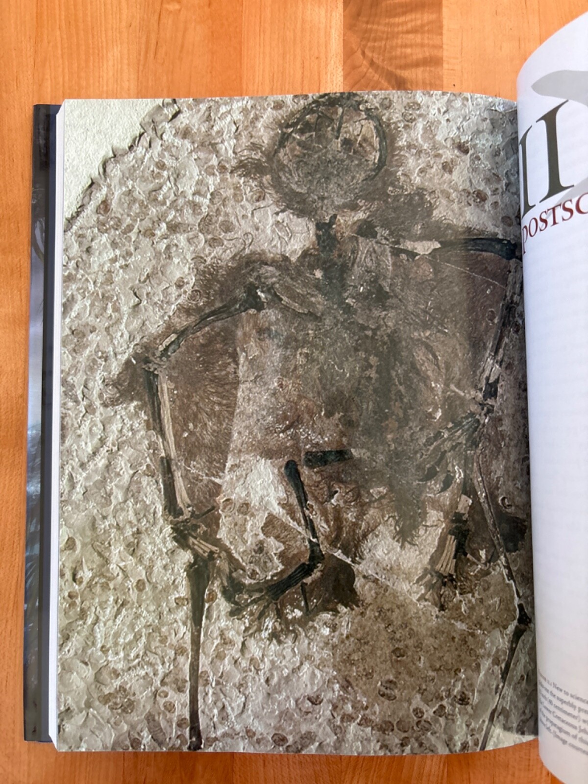 The Pterosaurs: From Deep Time, David M Unwin, Brand New, Hardcover, Brand New