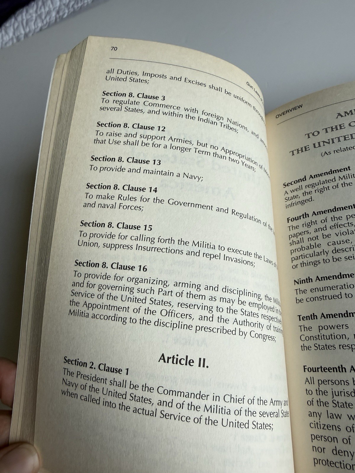 Gun Laws of America : Every Federal Gun Law on the Books by Michael P