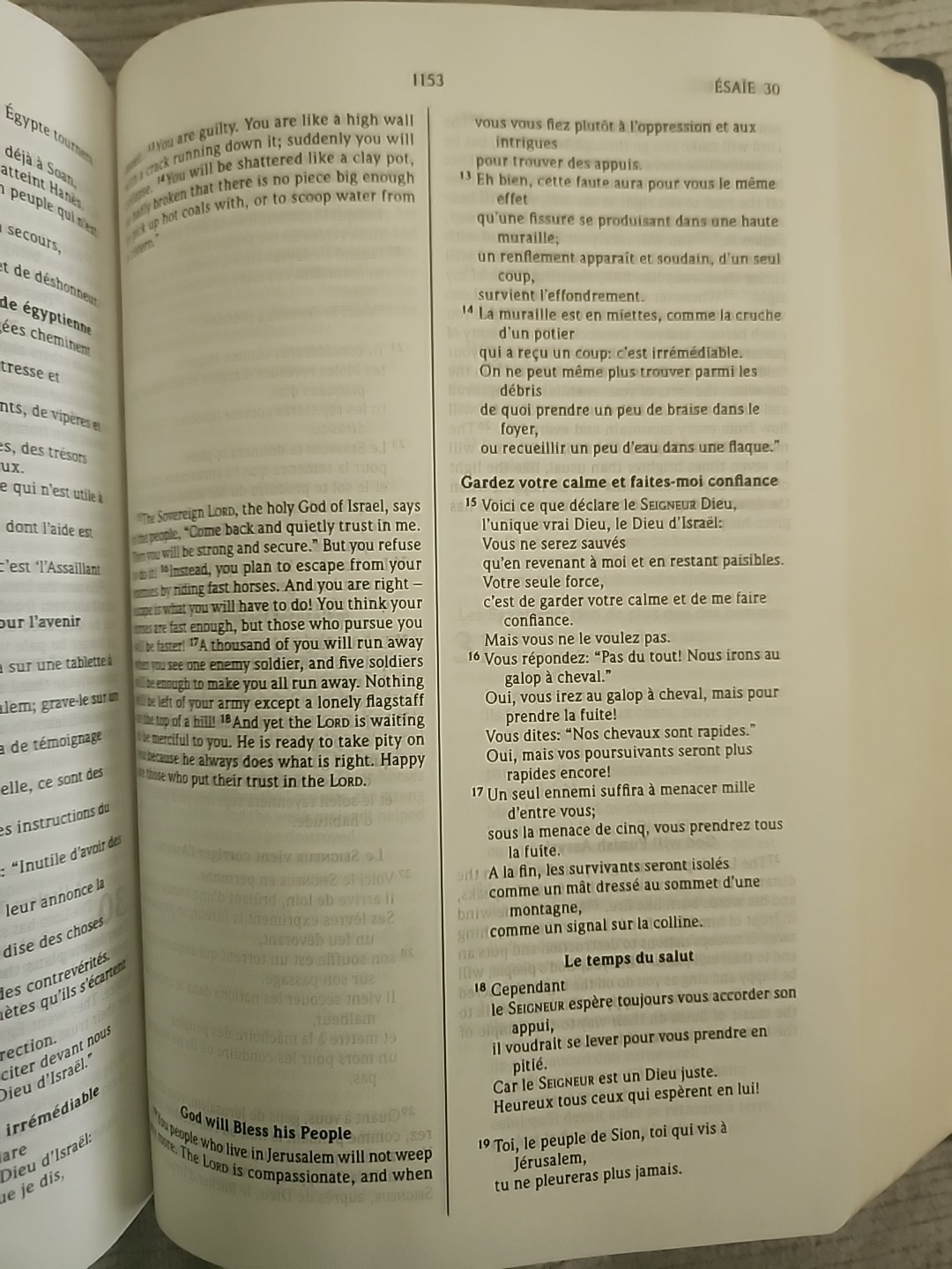 Bible Bilingual Edition, French/English Good News Translation Vinyl soft cover