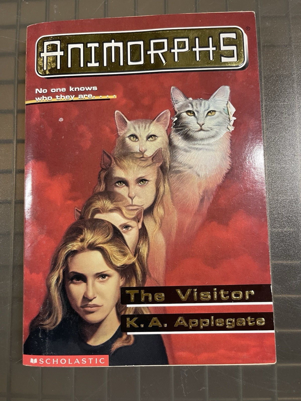 Animorphs Books 1-5 (1,2,3,4,5) Book Lot SET K.A. Applegate 1st Ed. Scholastic
