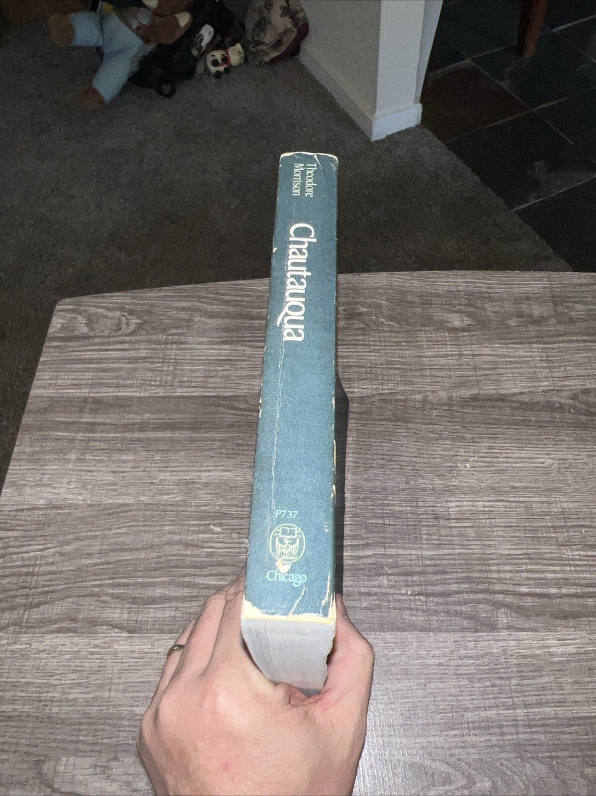 Chautauqua By Theodore Morrison Paperback Second Impression 1977 / Bx9