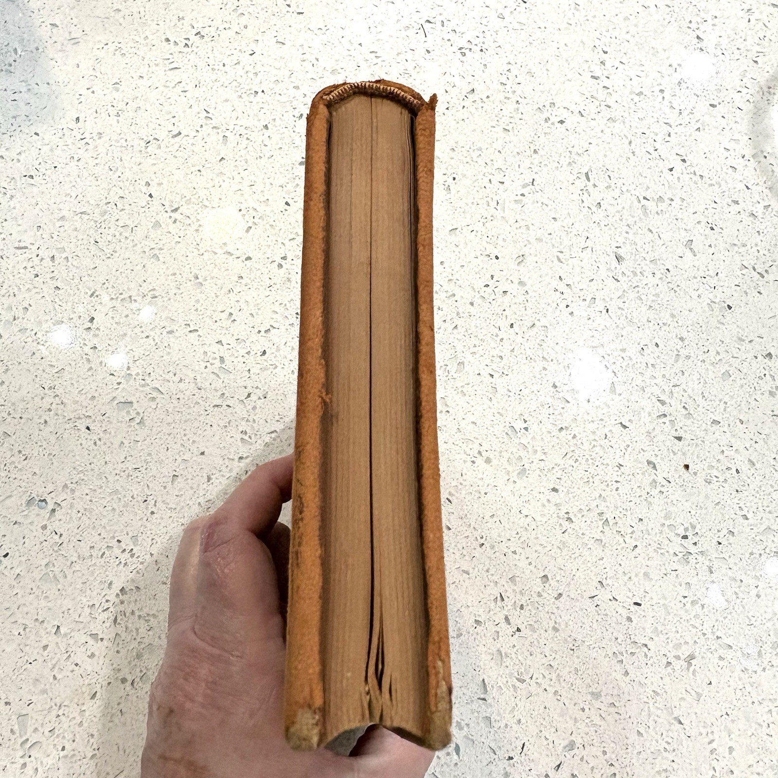 The Poems Of Walt Whitman Vintage 1902 Thomas Cromwell Company RARE