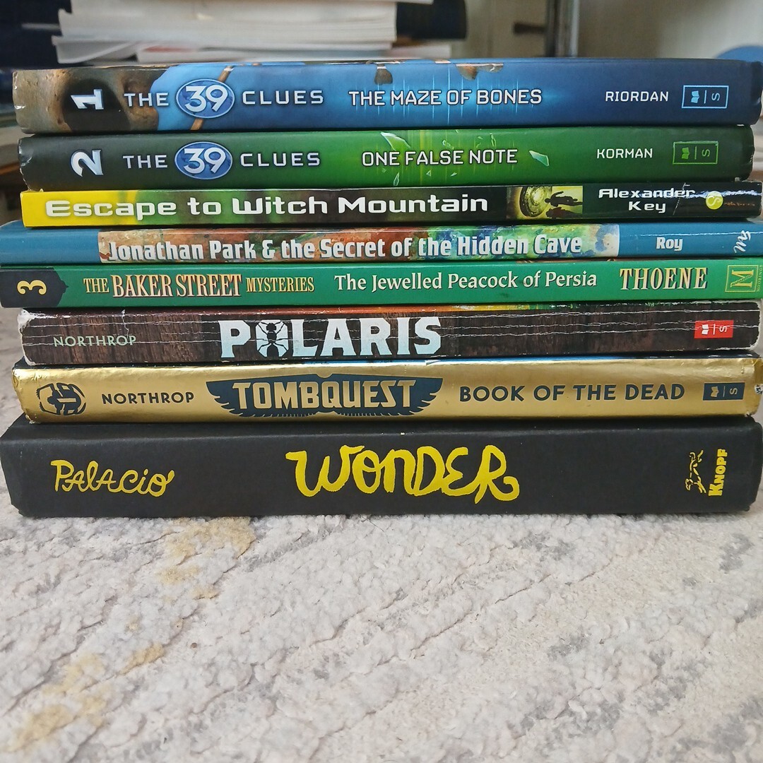 9 Juvenile Fantasy, Mystery, And Drama Novels: 39 Clues, Wonder, Polaris, Etc.