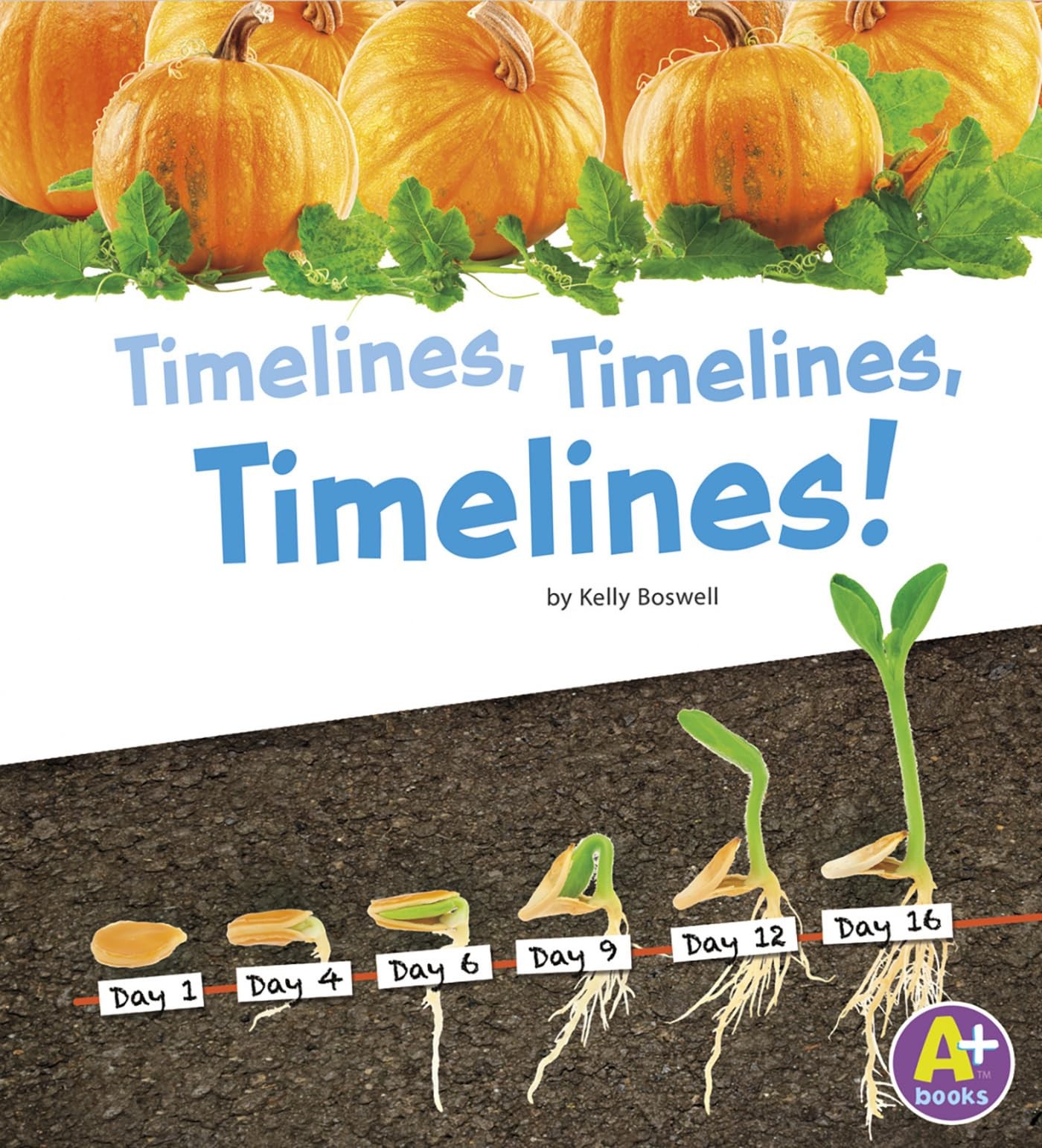 Timelines, Timelines, Timelines! (Displaying Information)