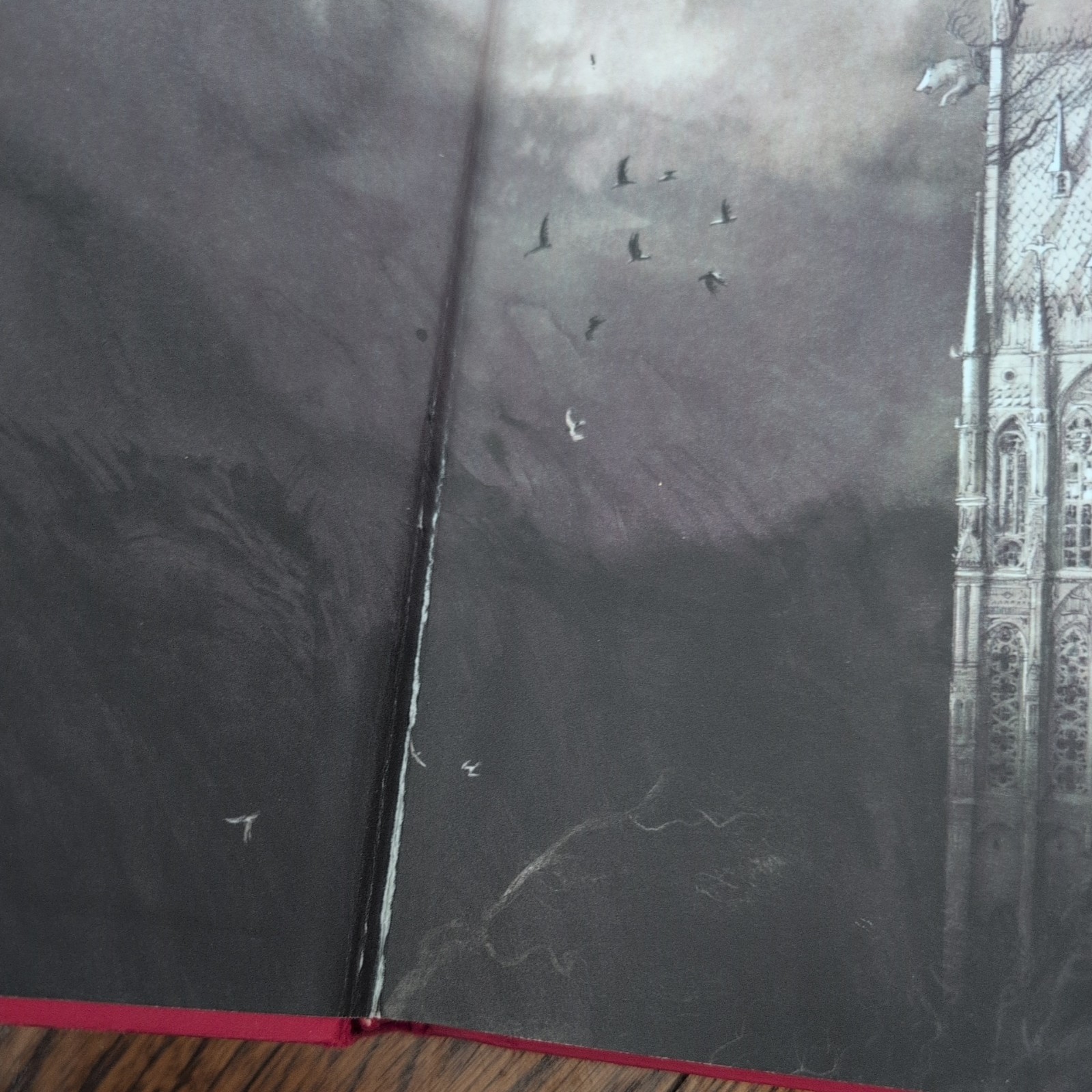 Hocus Pocus: the Illustrated Novelization And a Harry Potter Illustrated Book