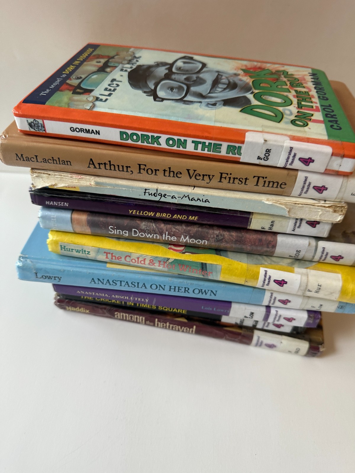 Lot of 10 Random 4th Grade Children’s Chapter Book Series – Elementary Library