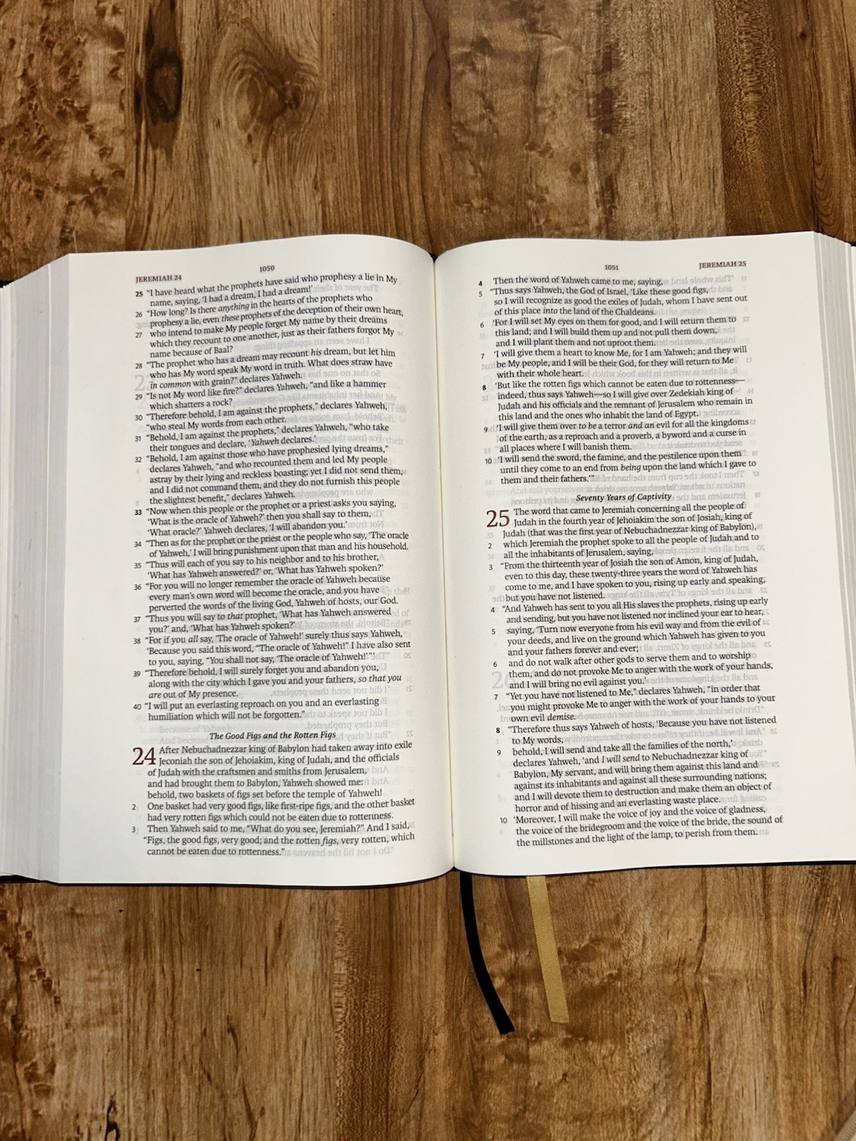 Legacy Standard Bible Holy Bible Handy Size Edition Steadfast 2021